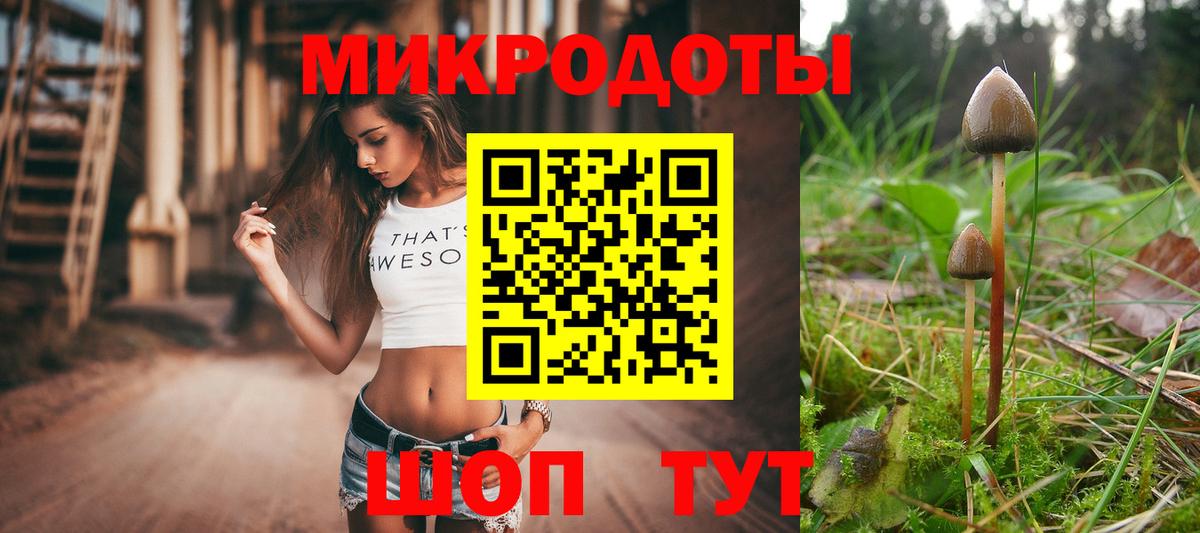 Галлюциногенные грибы Psilocybe  Вход с VPN  Клин  Галлюциногенные грибы мухоморы 